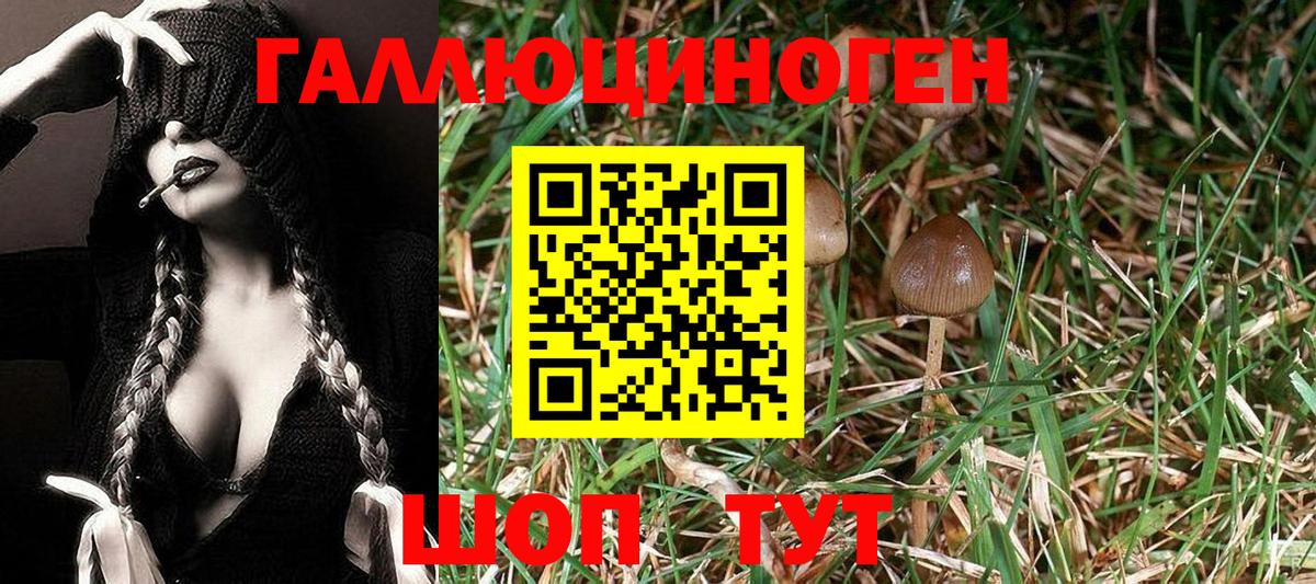 Сатка  Псилоцибиновые грибы прущие грибы  Вход с VPN 
