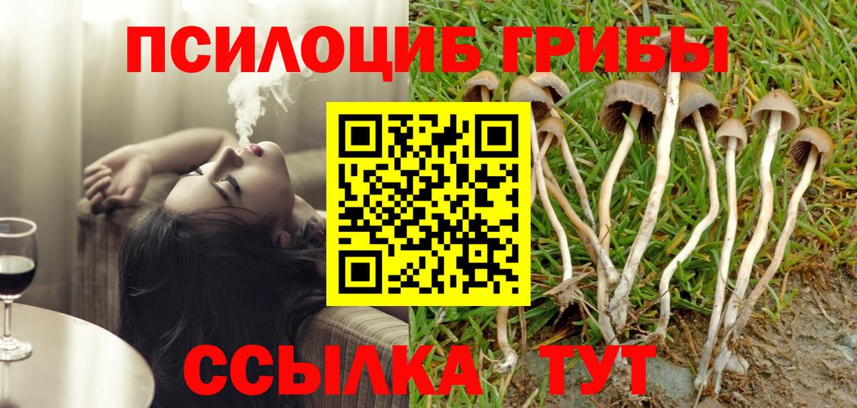 Псилоцибиновые грибы Psilocybine cubensis Сатка